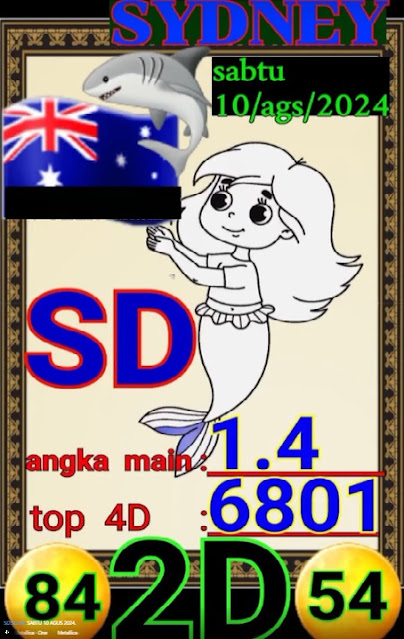 SYAIR SDY VIP